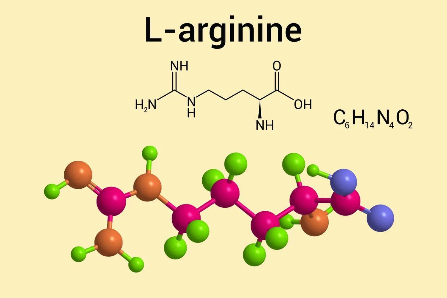 Immagine articolo L-Arginina
