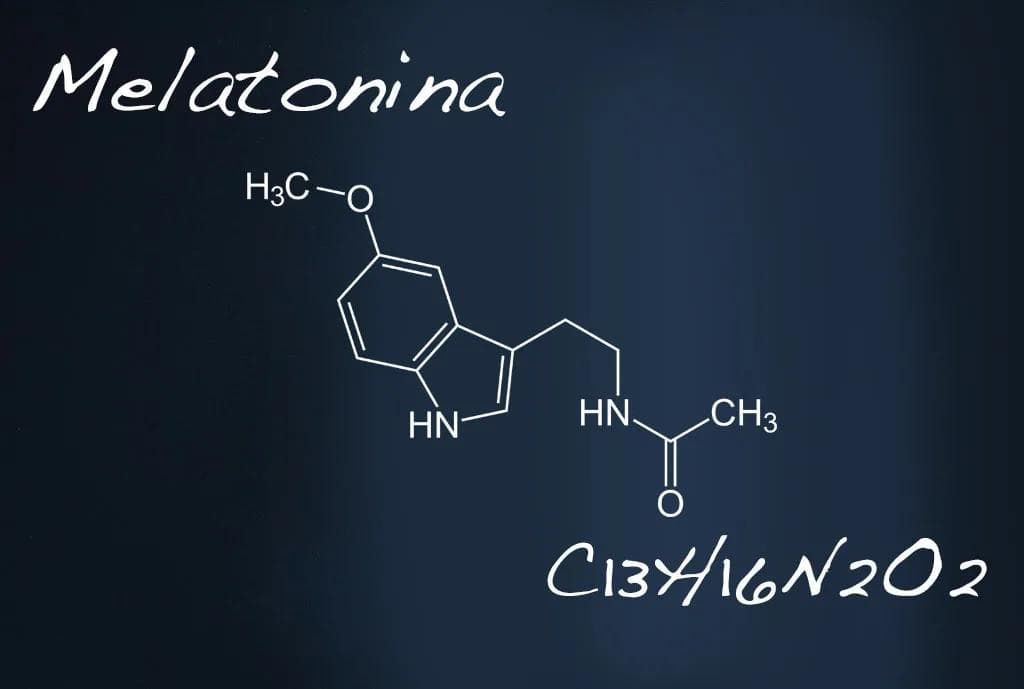 Immagine articolo La Melatonina